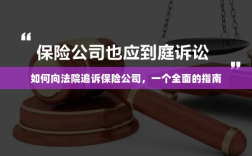 保险公司追诉指南，如何向法院提起诉讼？
