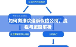 保险公司追诉流程与策略解析，法院途径指南