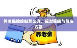养老保险中断应对指南，解决方案与策略