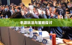 瑶瑶玩转输出型手游攻略，手游玩法与策略探讨