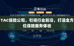 TAC保险公司，引领行业先锋，全方位保险服务体验打造者