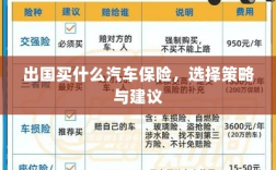 出国购车保险指南，选择策略与建议