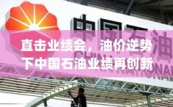 直击业绩会，油价逆势下中国石油业绩再创新高，五月地下万米试油试气启动