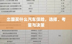 出国购车保险指南，选择、考量与决策攻略