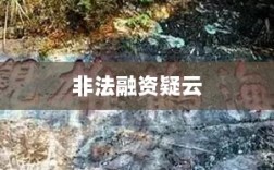 扬州虎啸涉非法融资疑云，深度解析与探讨