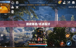 黑色沙漠手游深度解析，游戏体验、坑点探讨