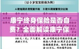 康宁终身保险的费用解析，自费还是保障？全面解读保险特点与费用问题。