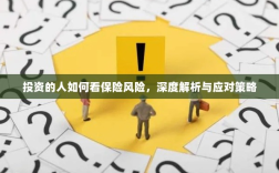 深度解析，投资者眼中的保险风险与应对策略