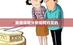 离婚保险分割约定详解