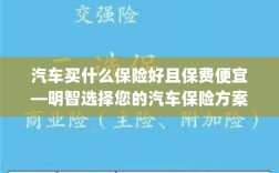 如何明智选择汽车保险方案，低成本且全面保障的选择策略