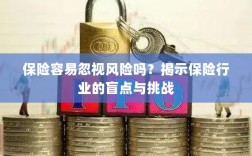保险行业盲点揭秘，易被忽视的风险与挑战探究