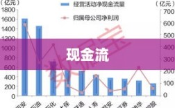 服装行业下半场，质价比突围与现金流守护——安奈儿的策略之路