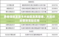 养老保险卡片类型及其管理，从知识科普到实战应用指南
