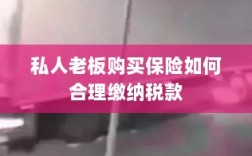 私人老板购买保险如何合理缴税，策略与指南