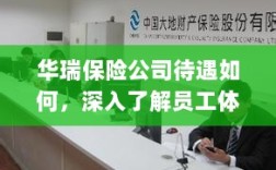 华瑞保险公司员工待遇与体验深度解析