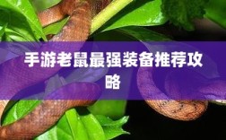 手游老鼠最强装备推荐攻略