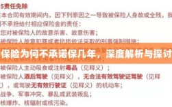 深度解析与探讨，保险承诺期限的隐衷与考量