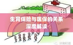 生育保险与医保关系的深度解析与解读