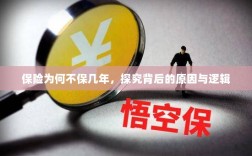 探究保险短期保障背后的原因与逻辑，为何保险不保几年？