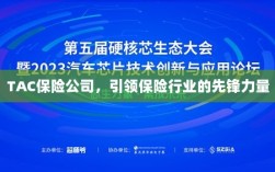 TAC保险公司，引领保险行业的先锋典范