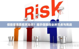保险行业盲点揭秘，易被忽视的风险与挑战探究