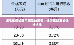 纯电车保险费用降低途径探索，更经济保险选择指南