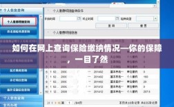 网上查询保险缴纳情况，保障一目了然