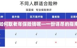 老年保险金的领取指南，步骤与要点详解