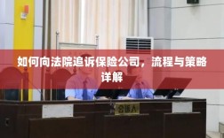 保险公司追诉流程与策略详解，如何向法院维权？