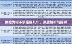 深度解析与探讨，保险承诺期限的隐衷与考量