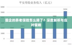 深度解析国企养老保险降低原因及应对策略