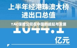 TAC保险公司在中国的崛起与蓬勃发展之路