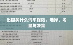 出国购车保险指南，选择、考量与决策攻略