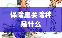 保险主要险种简介与概述