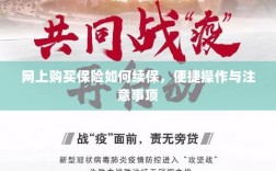网上保险续保攻略，便捷操作及注意事项