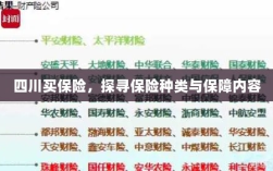 四川保险探秘，种类与保障内容全解析