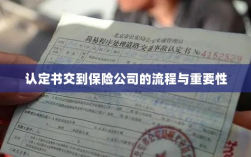 认定书交到保险公司的流程及其重要性概述