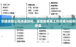 华瑞保险公司待遇深度解析，工作环境与福利待遇探讨