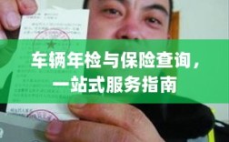 车辆年检与保险查询，一站式服务详解