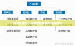 四川保险探秘，种类与保障内容全解析