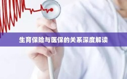 生育保险与医保关系的深度解析与解读