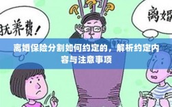 离婚保险分割的约定内容与注意事项解析
