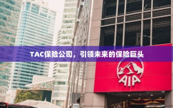 TAC保险公司，引领保险行业未来巨头之路
