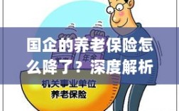 深度解析国企养老保险降低原因及应对策略