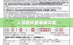 入保险必备单据解析