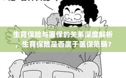 生育保险与医保深度关联解析，生育保险是否归入医保范畴？