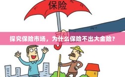 探究保险市场，为何缺乏大额保险金险种？