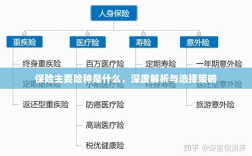 深度解析保险主要险种，选择策略与必备知识指南