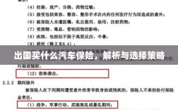 出国购车保险指南，解析与选择策略
