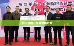 四川保险，探索全方位保障之路